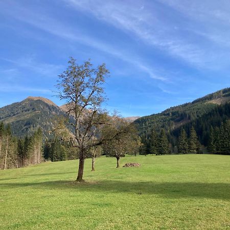 Schaffergut Appartements Donnersbachwald Exterior photo