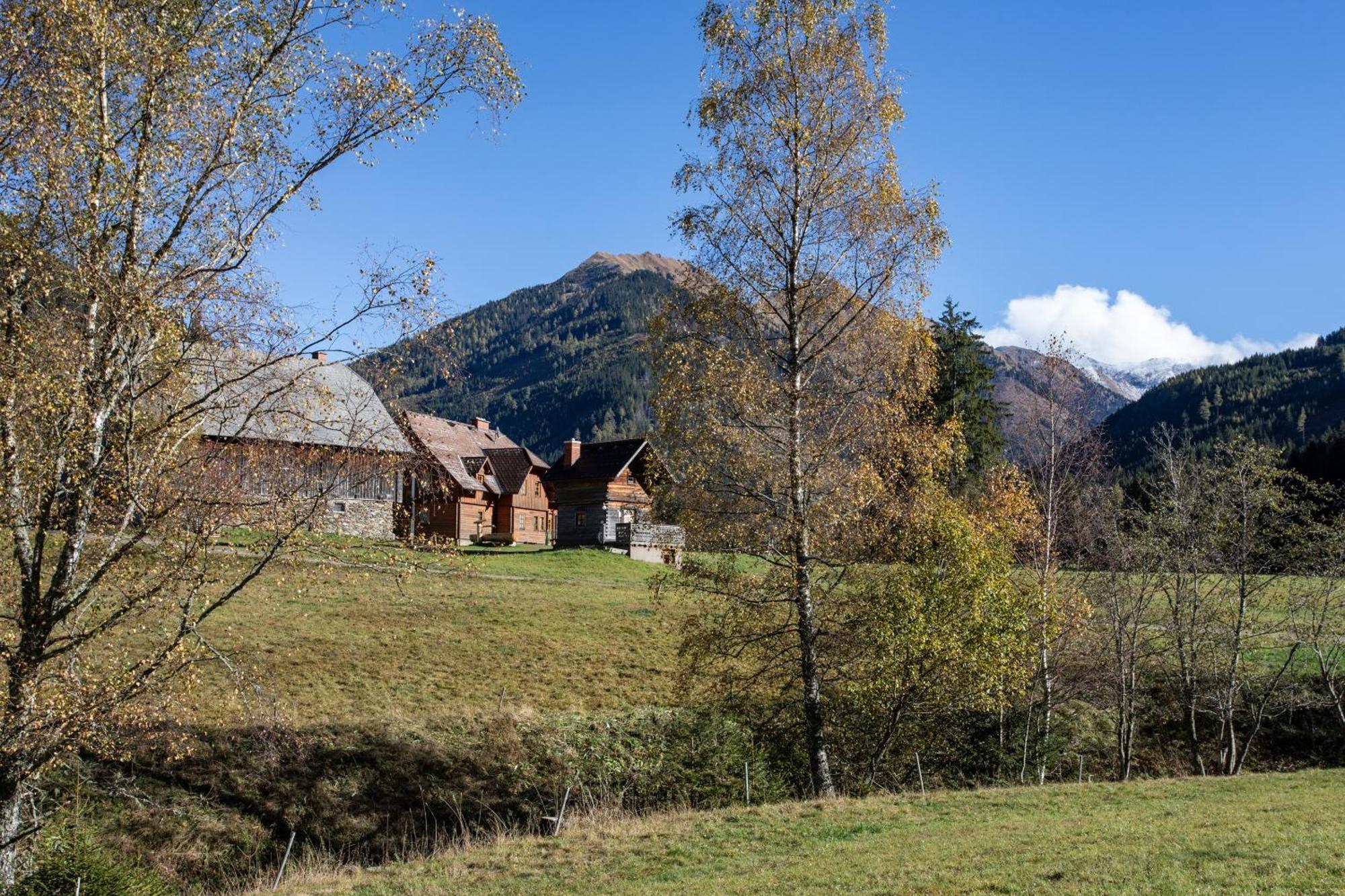 Schaffergut Appartements Donnersbachwald Exterior photo