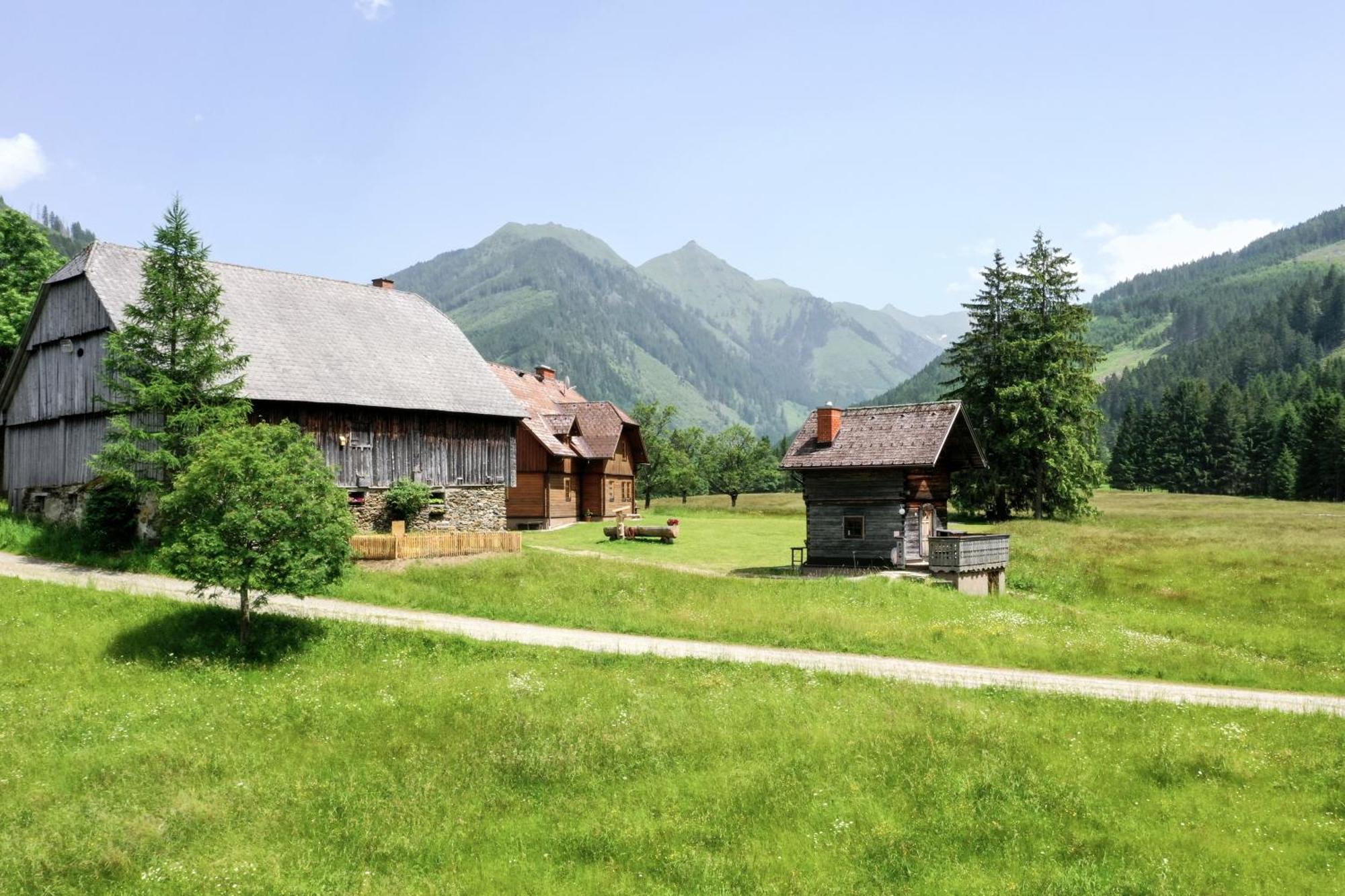 Schaffergut Appartements Donnersbachwald Exterior photo